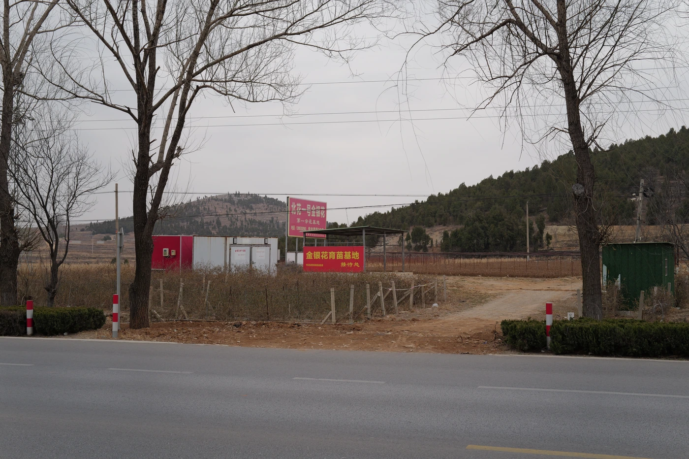 山东 / Shandong photograph 041