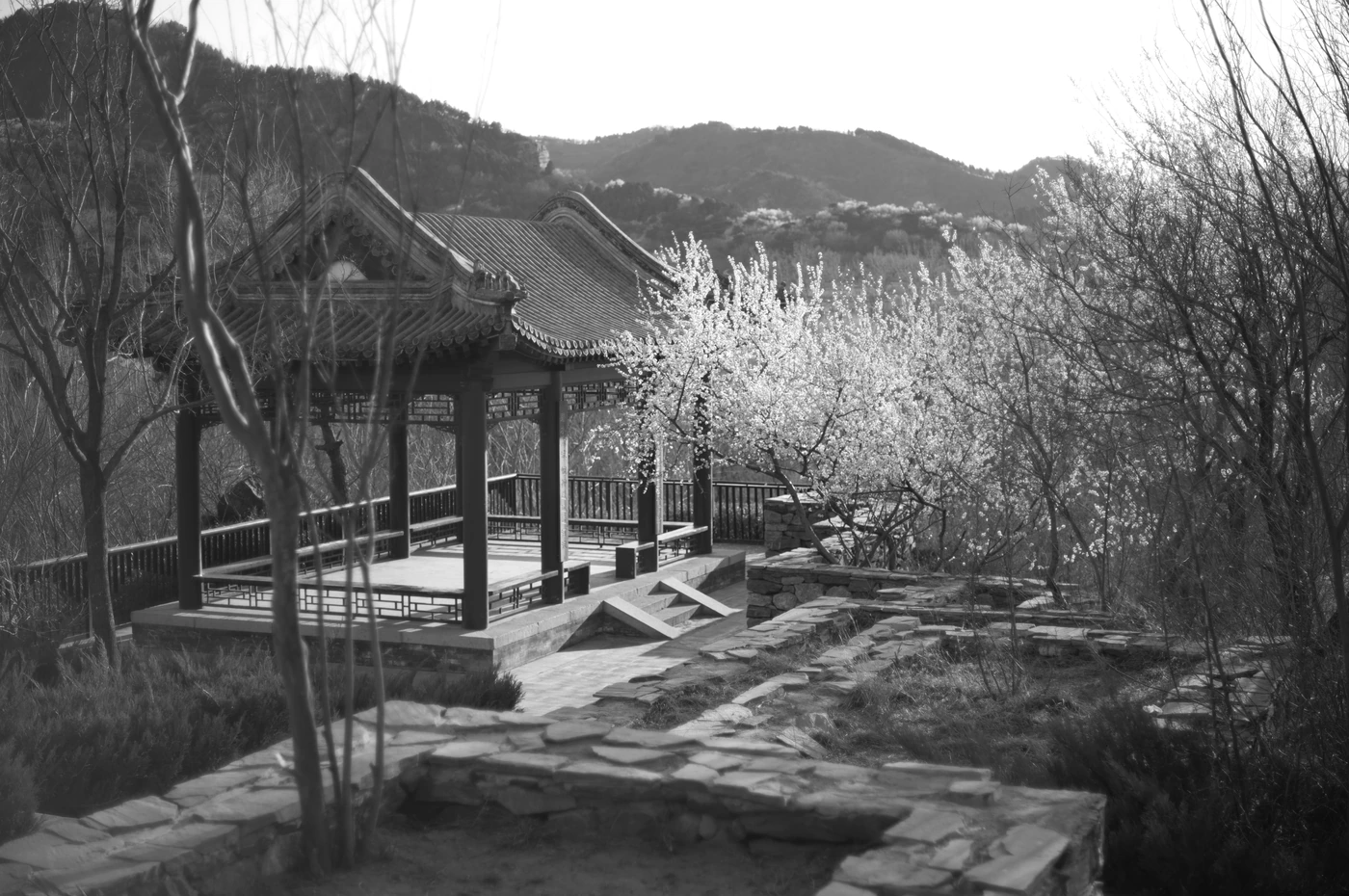 单张照片 P / 004