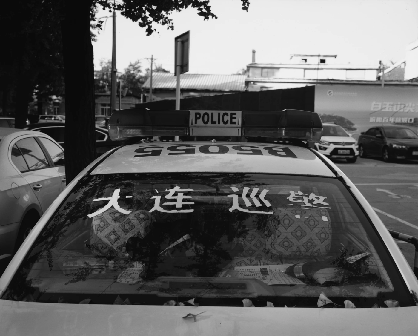 单张照片 P / 018