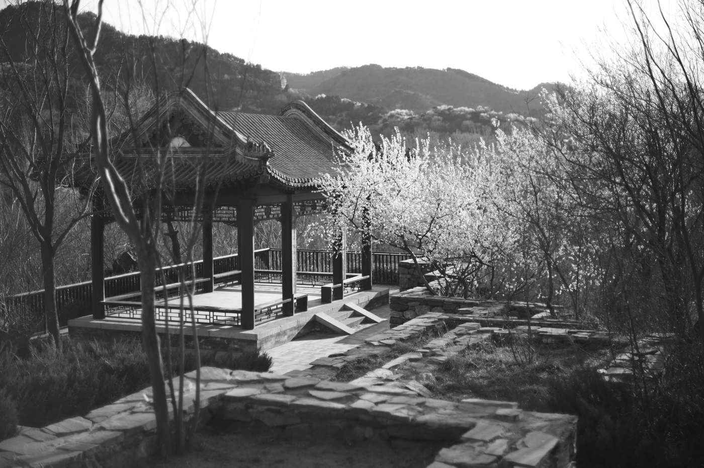 单张照片 P / 214