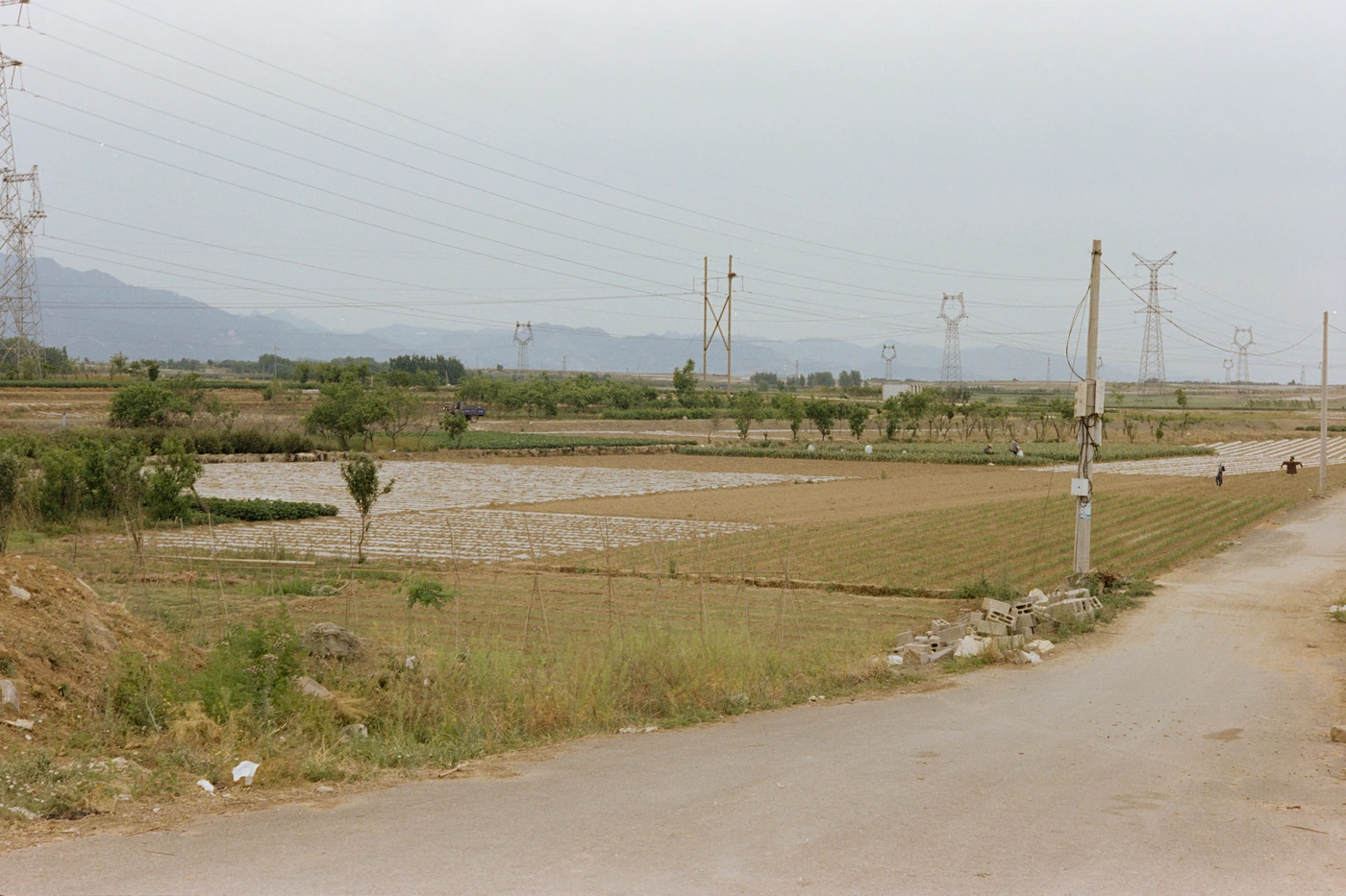 山东 II / Shandong II photograph 036